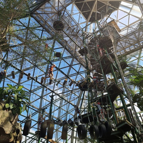 In the heart of the city there is a Wild Life Dome filled with Australian native animals, snakes, koalas and a massive CROCODILE! You can go full advenutre and climb the high ropes and bungee or just sit and watch the live animal shows.