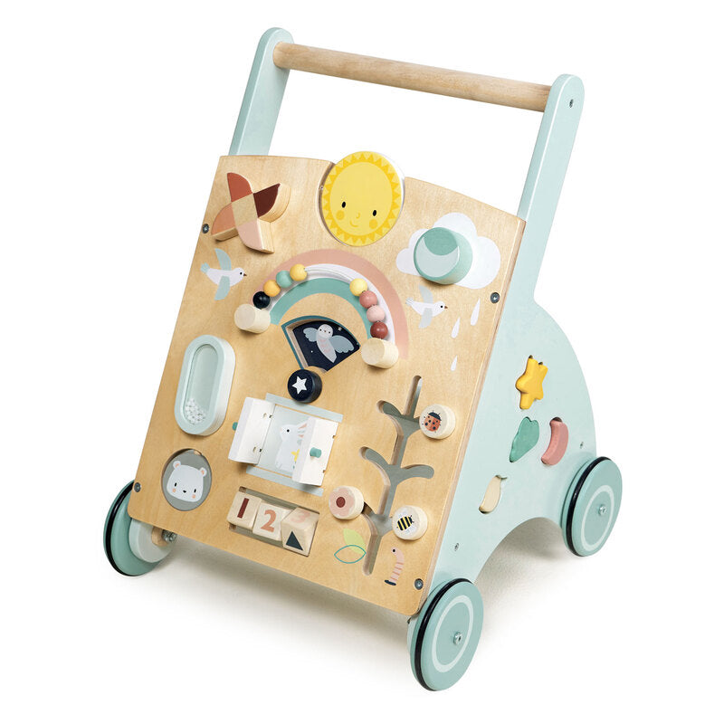 Heimess Baby Gym & Walker - Train