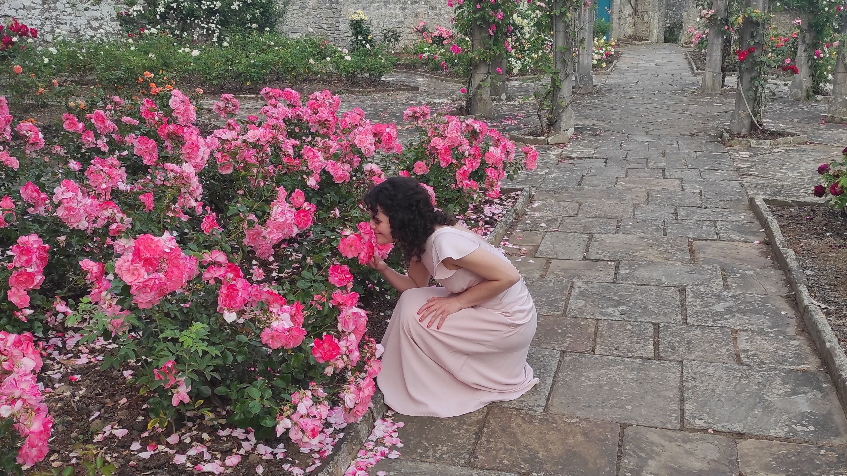 Alice smelling rose in garden at a wedding