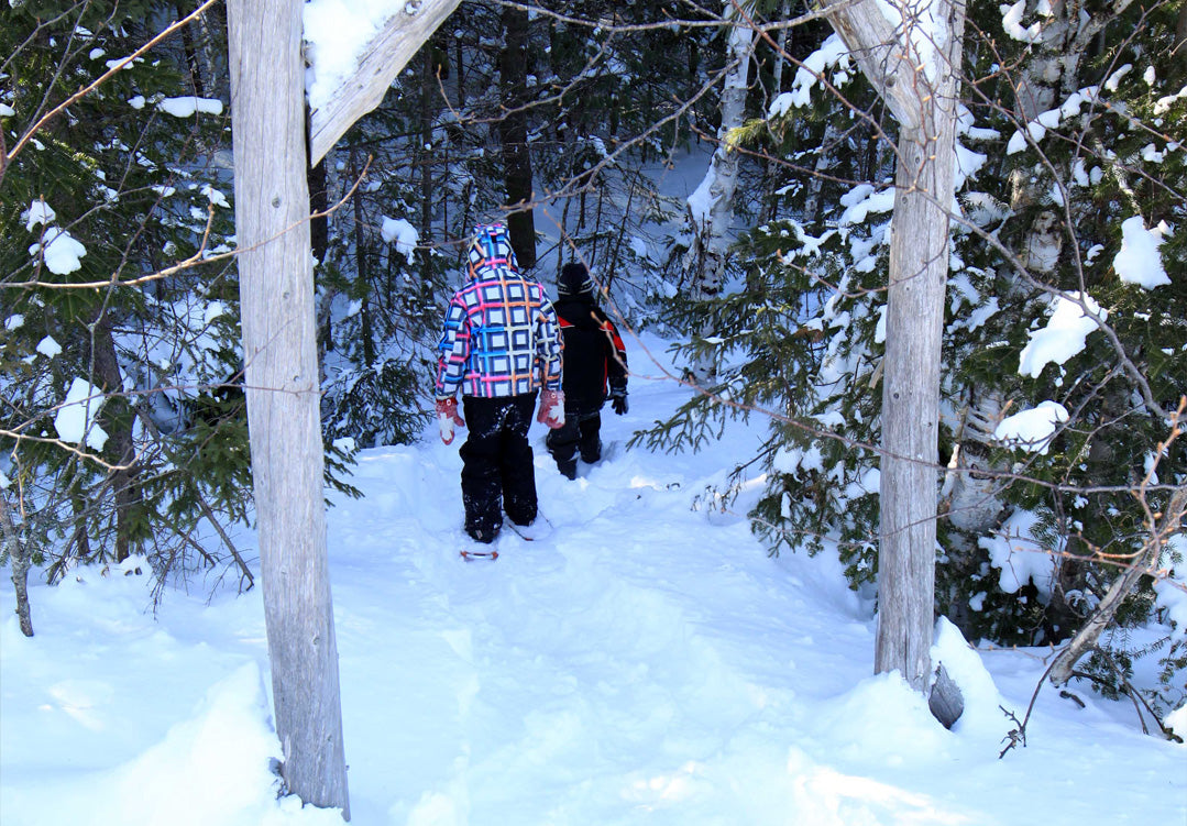 NepisiguitMigmaqTrail_Winter_Nature_Bathurst_NB.jpg__PID:af0640ed-3181-4949-a1eb-01ed29e8d1c3