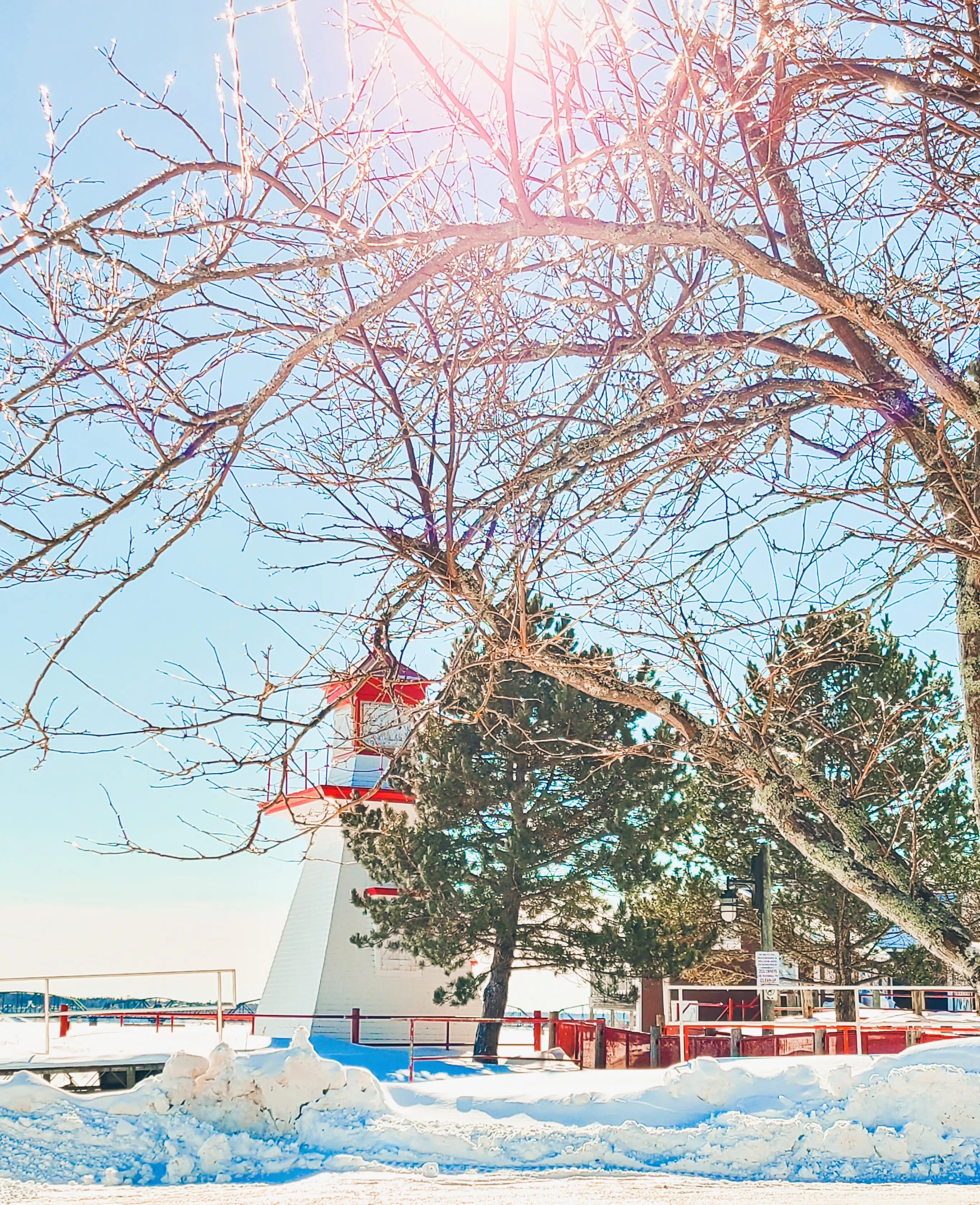Ritchies Wharf_MichelleGirouard.webp__PID:6457c40d-ebfb-434a-b321-261b7294dc3d