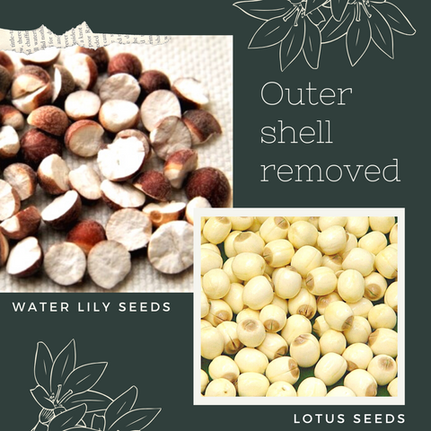 Water Lily Vs Lotus Seeds: Aren'T They The Same? – Zenko Superfoods