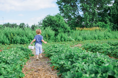 young boy gardening