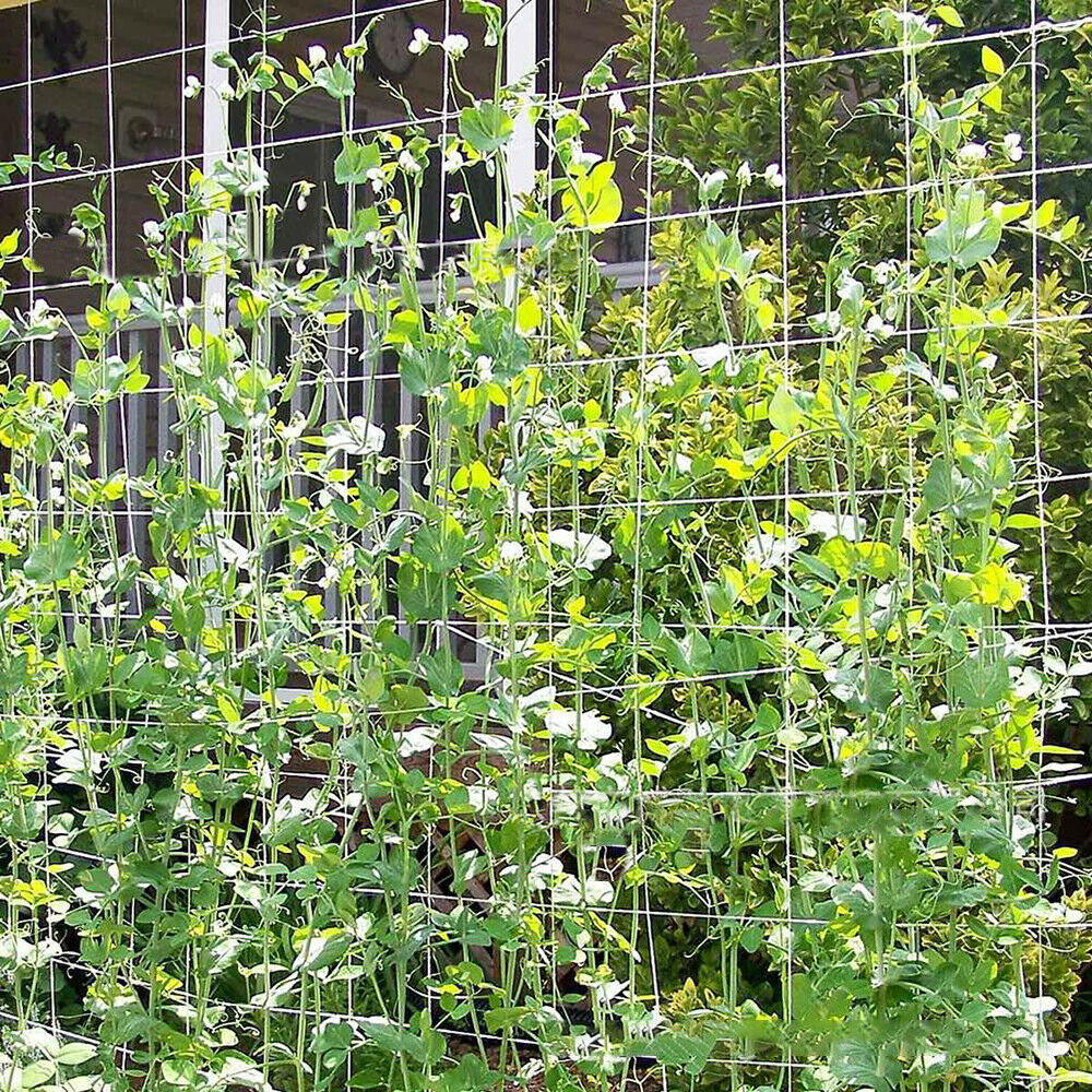 Trellis Plant Netting Support Garden Fence Mesh Net Vine Fruit Growing - Dealjas