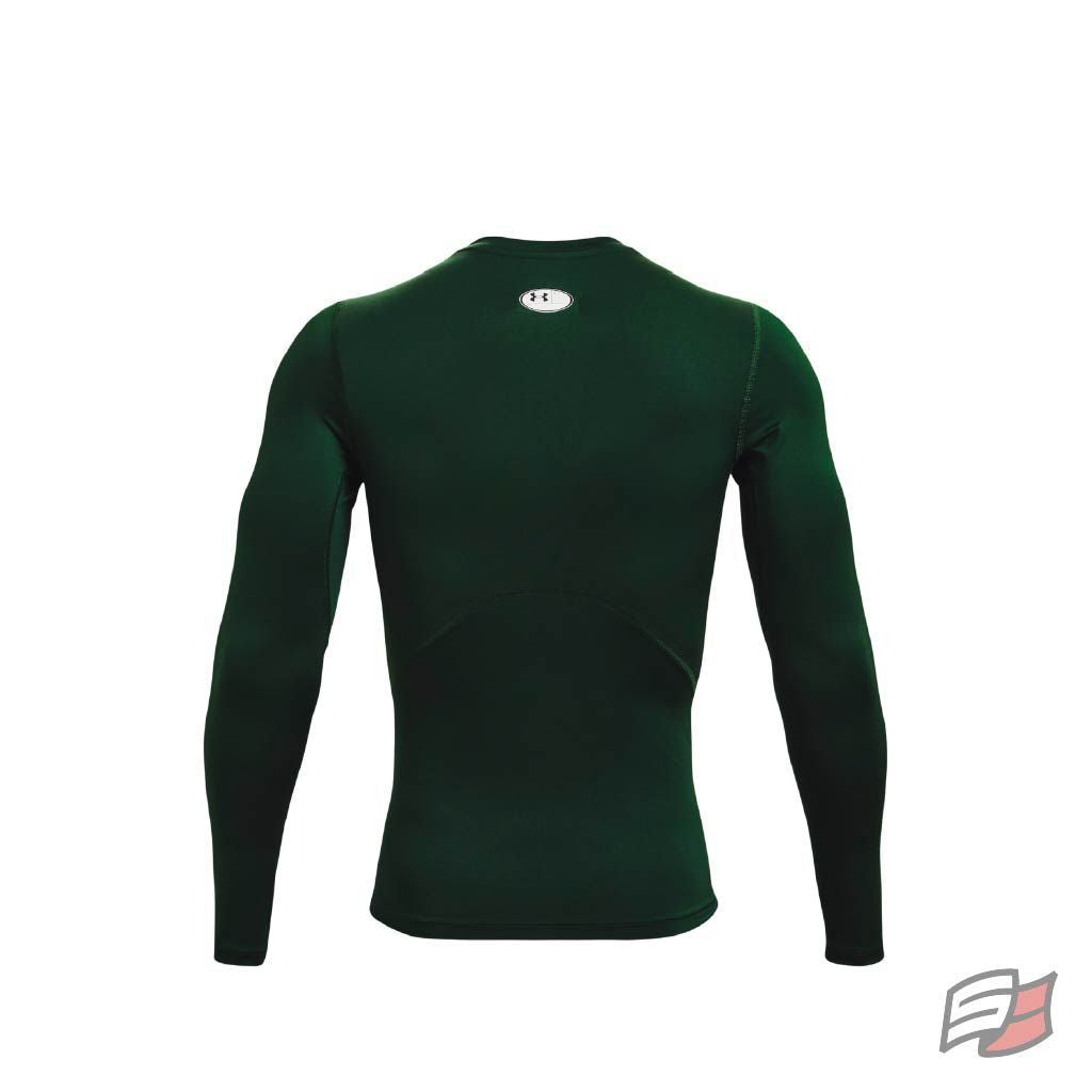 HEATGEAR ARMOUR L/S TEE MEN'S