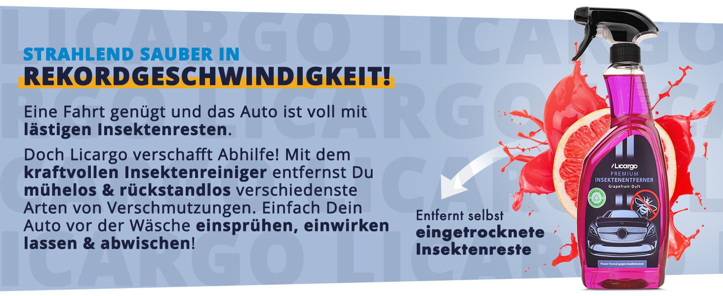 Insektenreiniger - perfekt für die Auto Vorwäsche