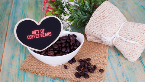 buy specialty coffee beans online