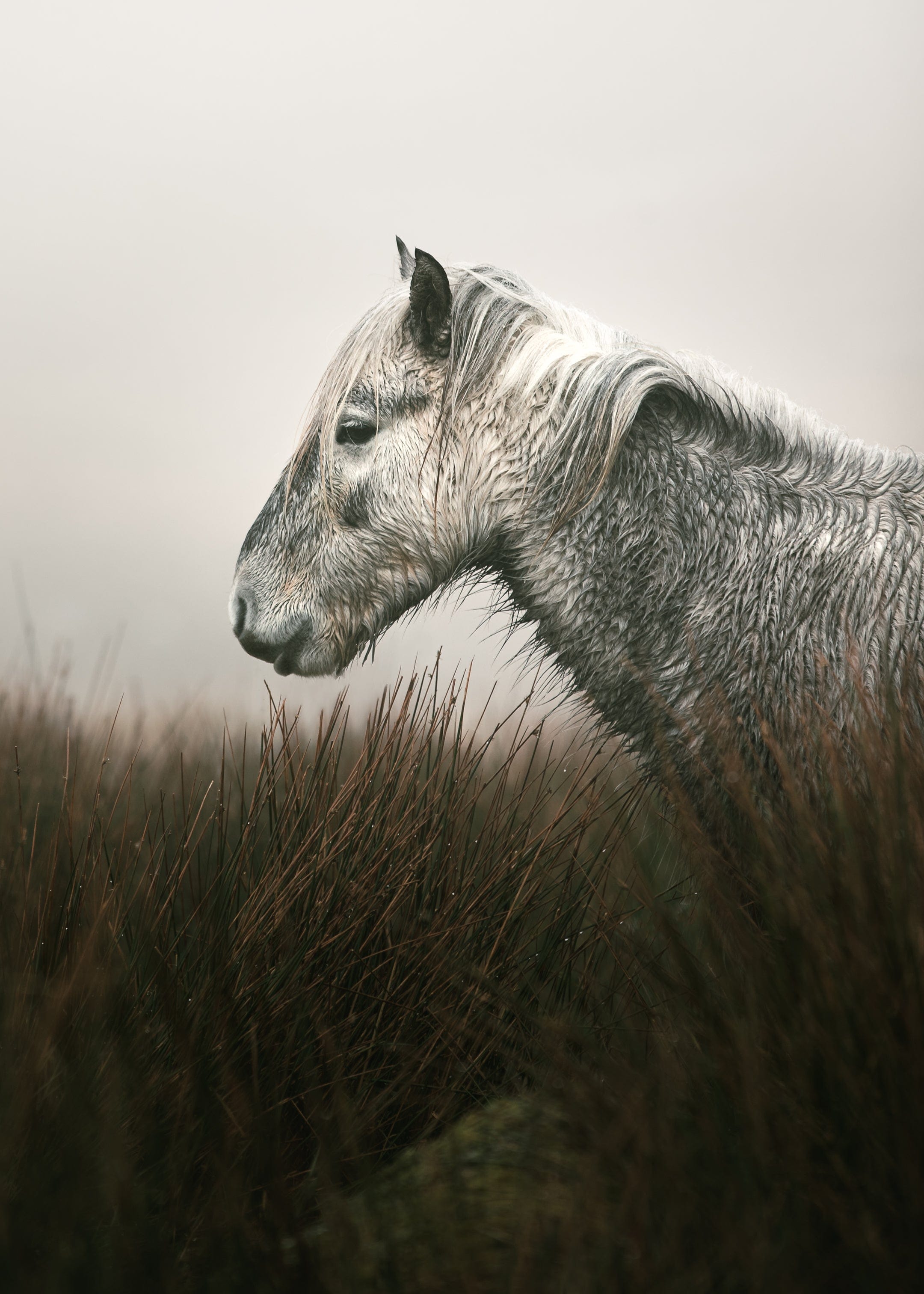 Alex Searle Photography