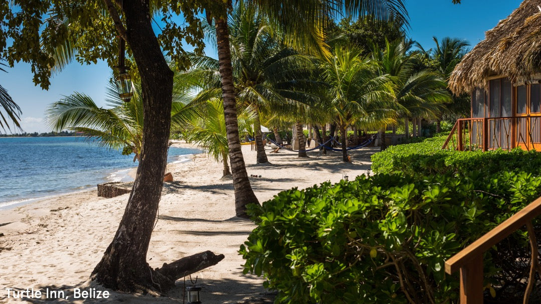 Turtle Inn, Belize