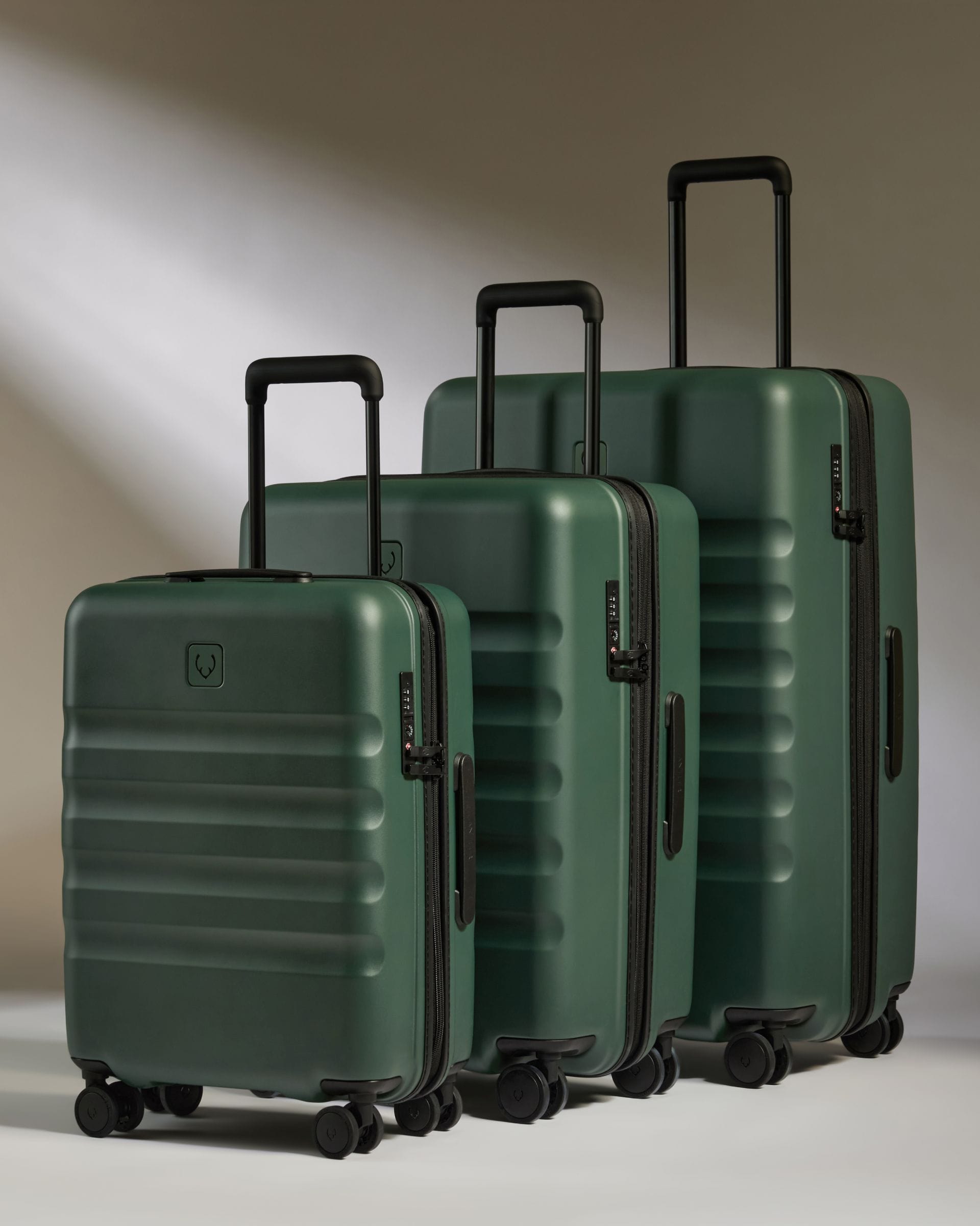 View Icon Stripe Suitcase Set In Antler Green information