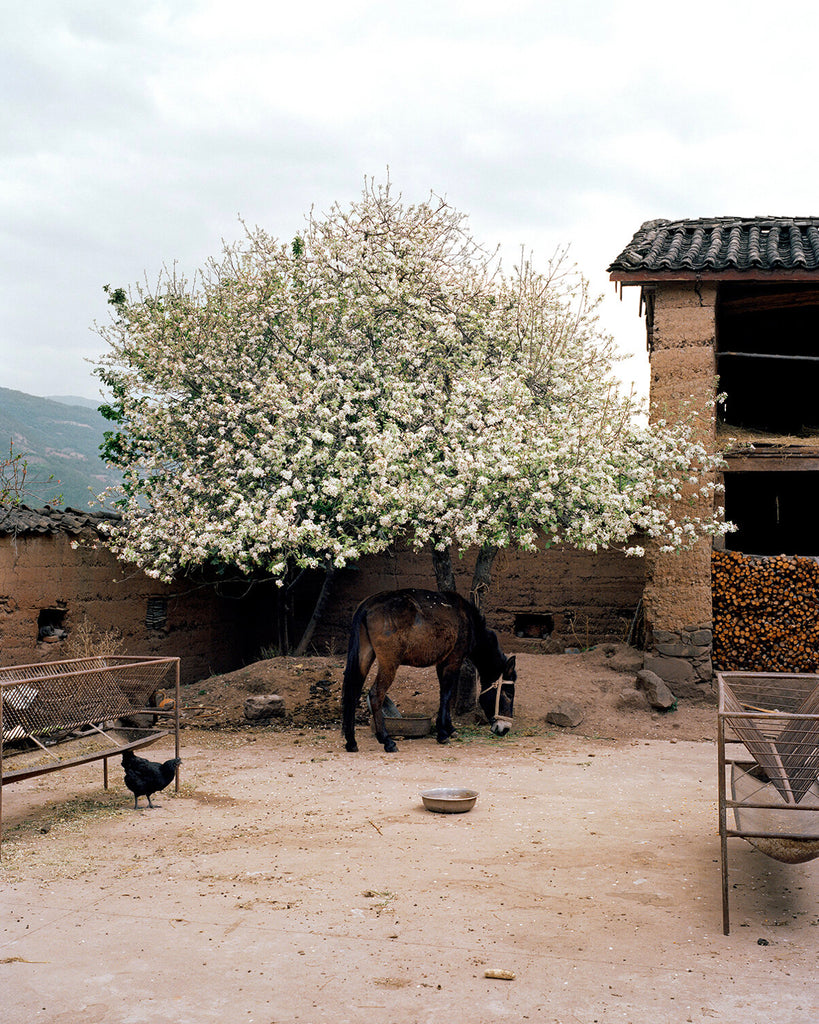 The Land of Promises by Youqine Lefèvre, Eriskay Connection