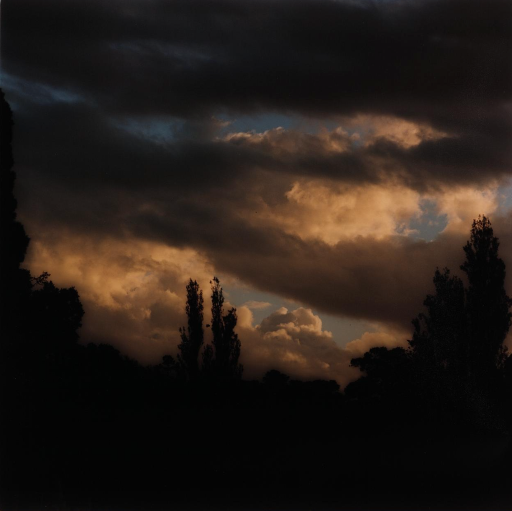 Bill Henson