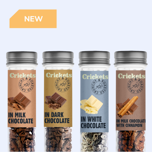 crickets in chocolate sens