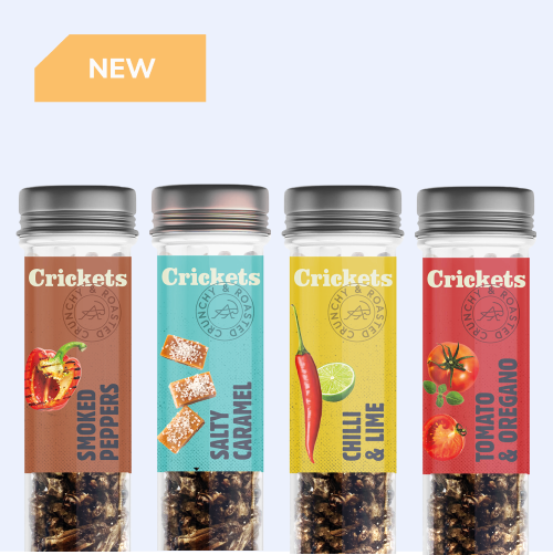 crunchy roasted crickets sens