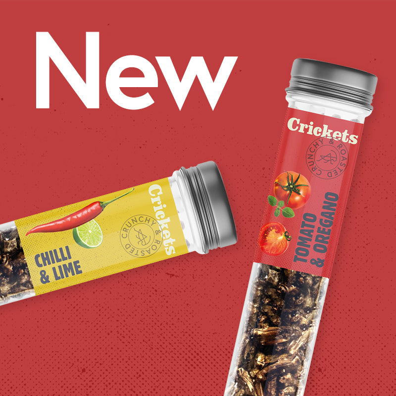 sens roasted crunchy crickets new product