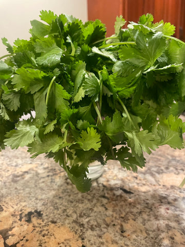 herbs in water