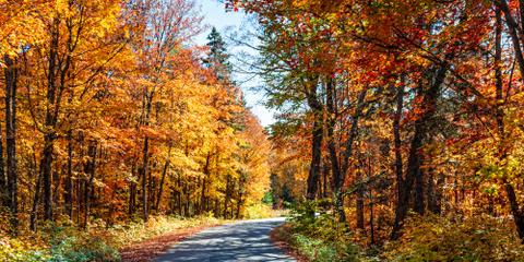 fall hiking