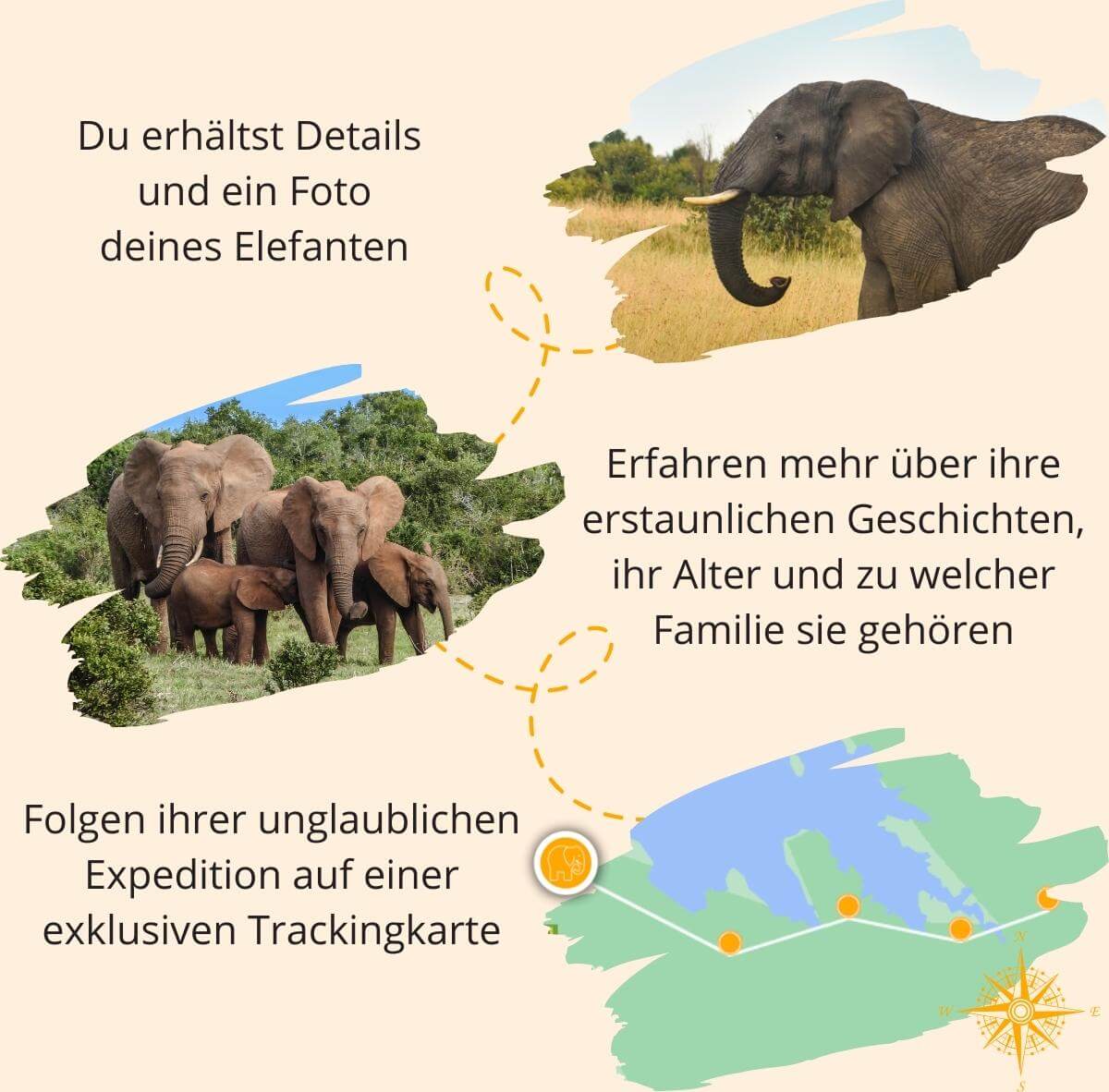 Seguimiento de elefante gráfico