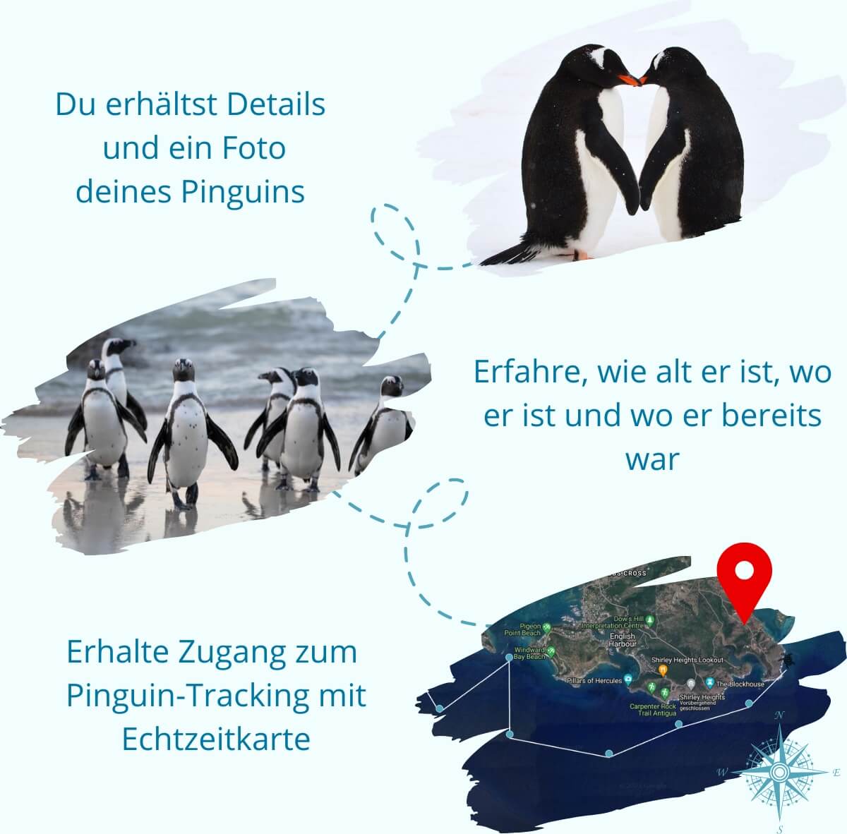 Trackinggrafik Pinguin