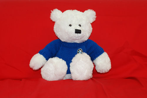 bmw teddy bear