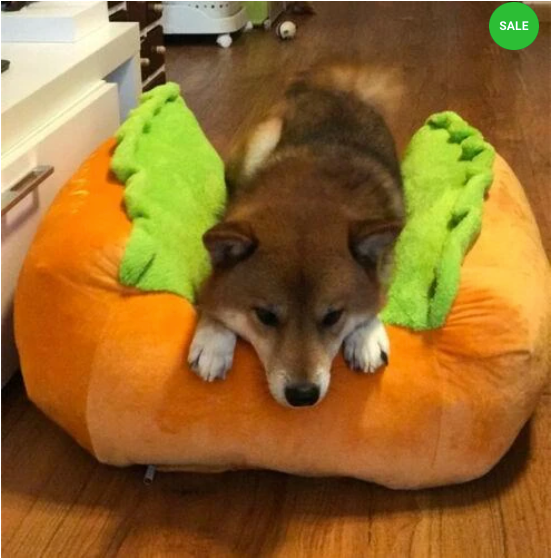 hot dog dog bed