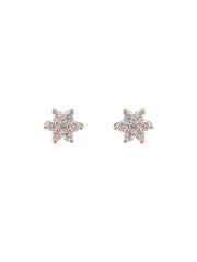 Tiny Flowers AD Rose Gold-Plated Earring Set
