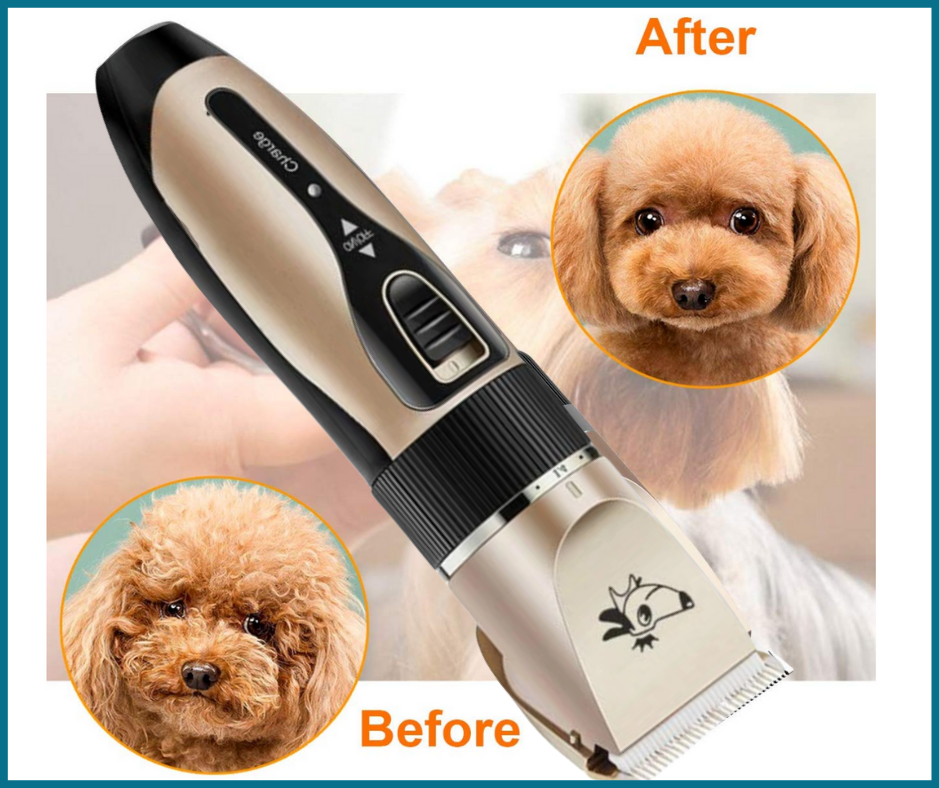 toy poodle grooming kit
