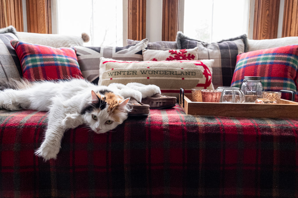 cozy cat Christmas theme plaid