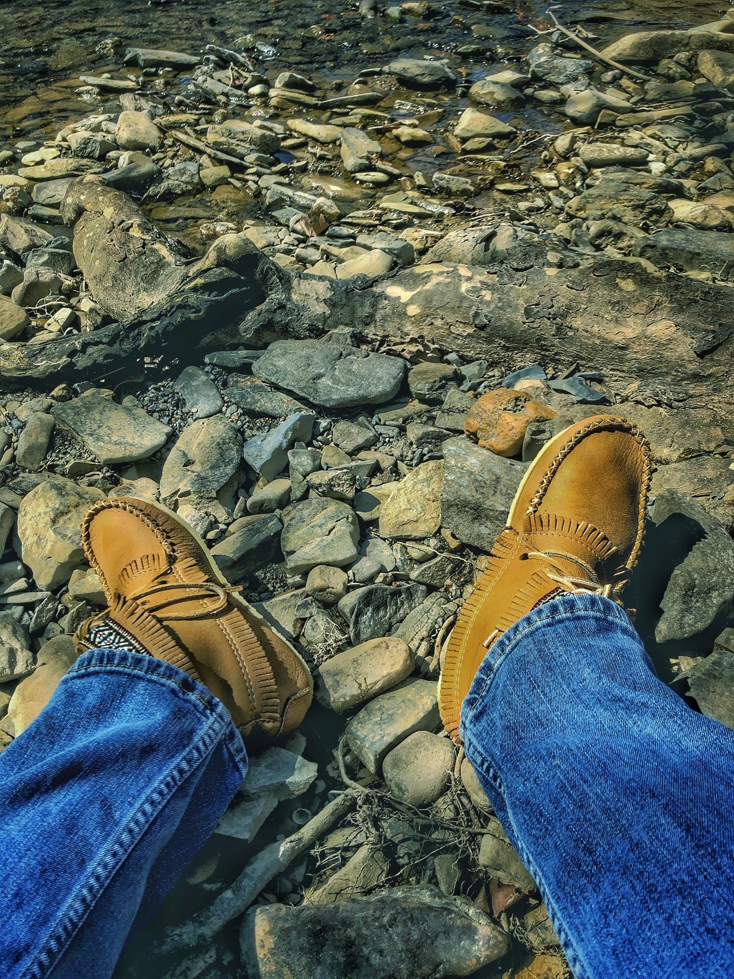 water moccasin boots