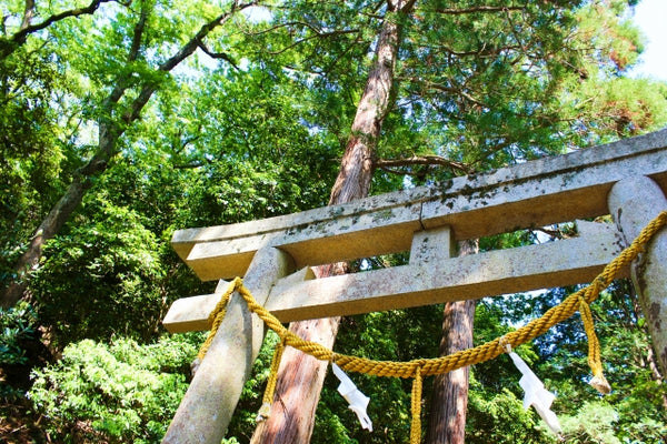 供TOMO Shinto & shrine blog・Manners in a shrine・what is a torii