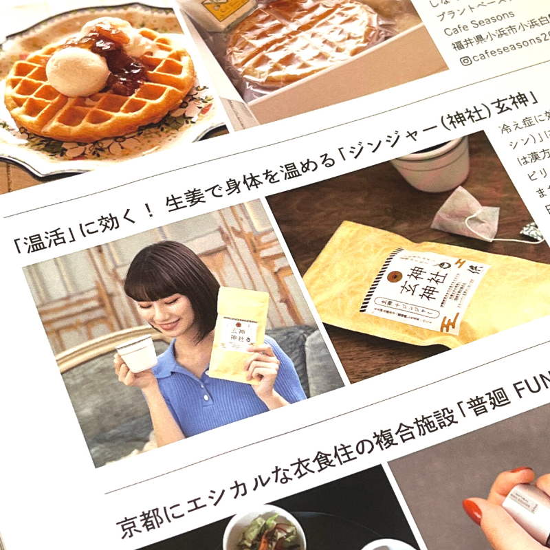 Japanese Drink TOMO Ginger Genshin in Vegetarian Media 