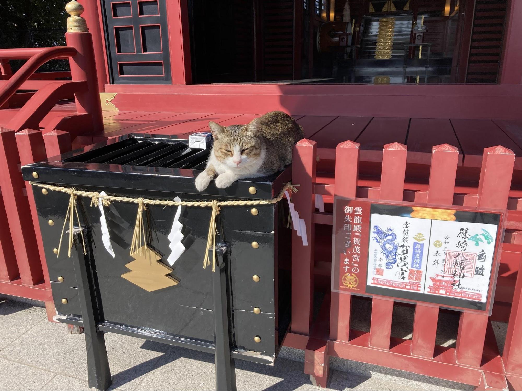 篠崎八幡神社 供TOMO　トモ　神社　リトリート　カフェ玄神