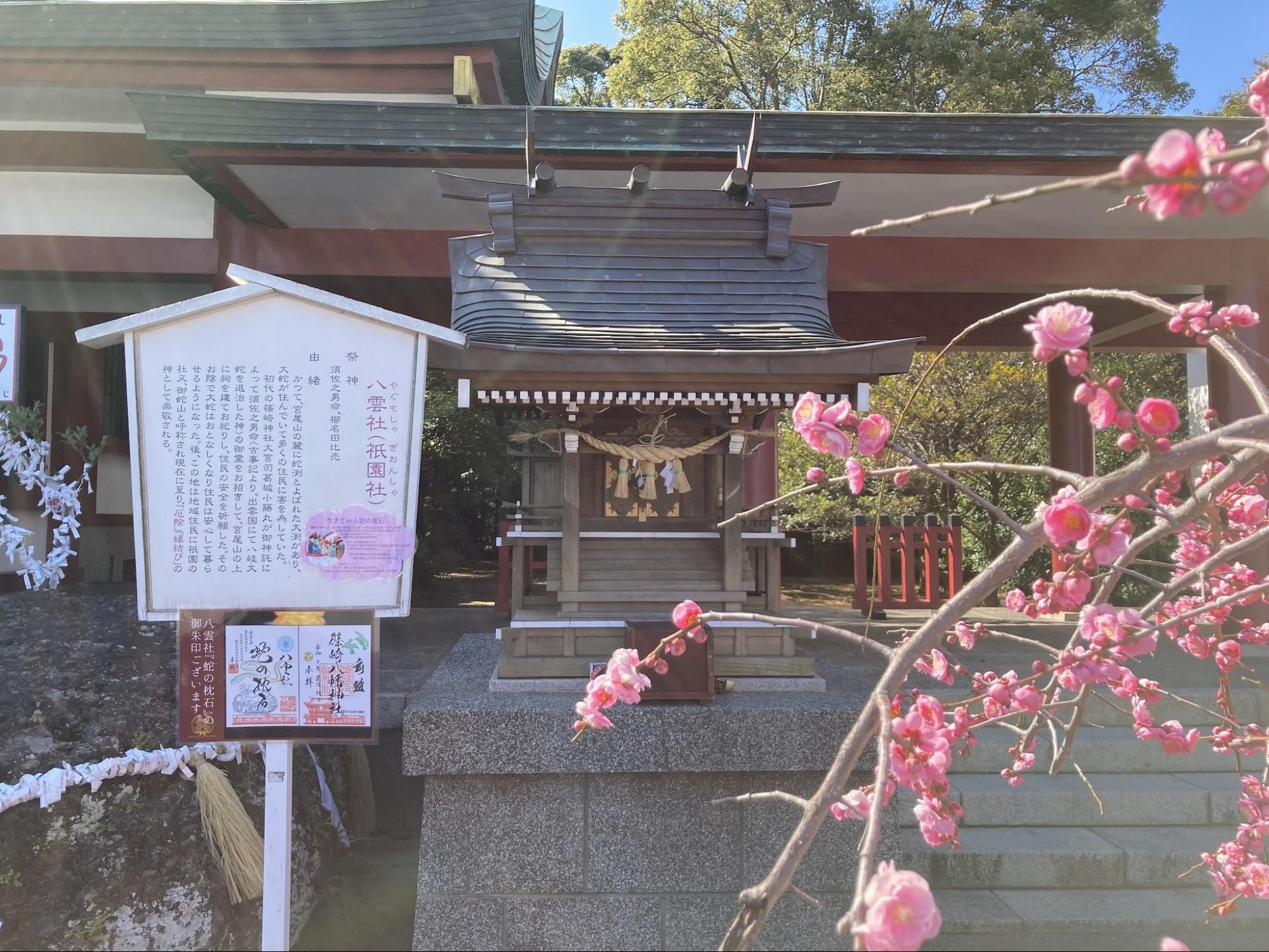 篠崎八幡神社 供TOMO　トモ　神社　リトリート　カフェ玄神