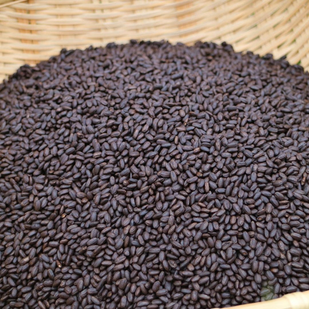 Why is TOMO Genshin brown rice coffee the best coffee alternative for you?