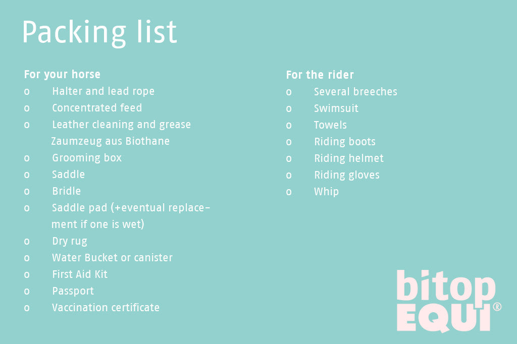 Packing List for a beach vacation with you horse