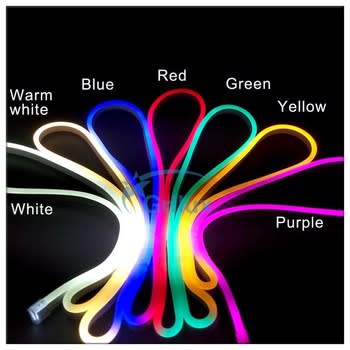 Afhankelijk Wegversperring Om te mediteren 12V LED Neon Flex – Electro Gadgets Online Store