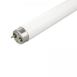 fluorescent tube t8 4ft 36w white