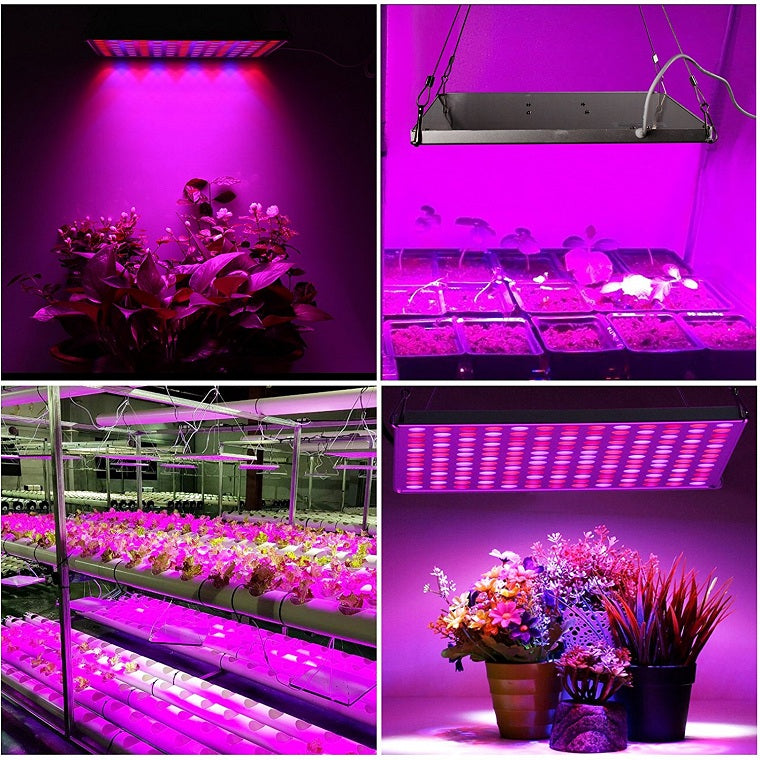 45W LED Plant Growth Light Full Spectrum Electro Gadgets Online Store