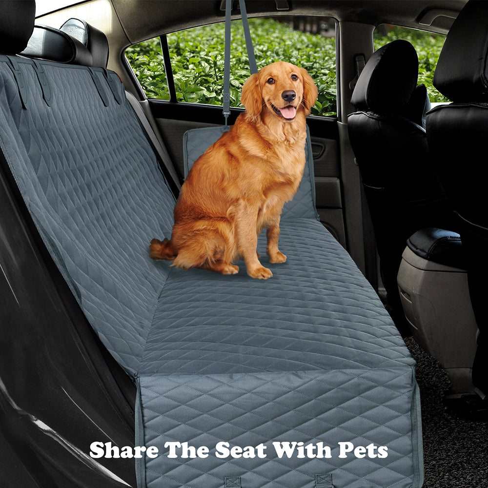 Share the seat with your pet