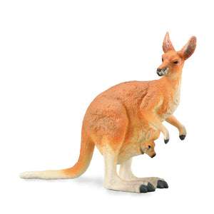 red kangaroo feet