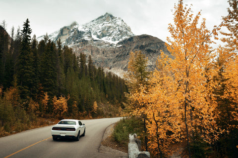 Canadian Radar Detector Legality British Columbia