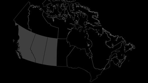 Canadian Radar Detector Legaltiy by Province