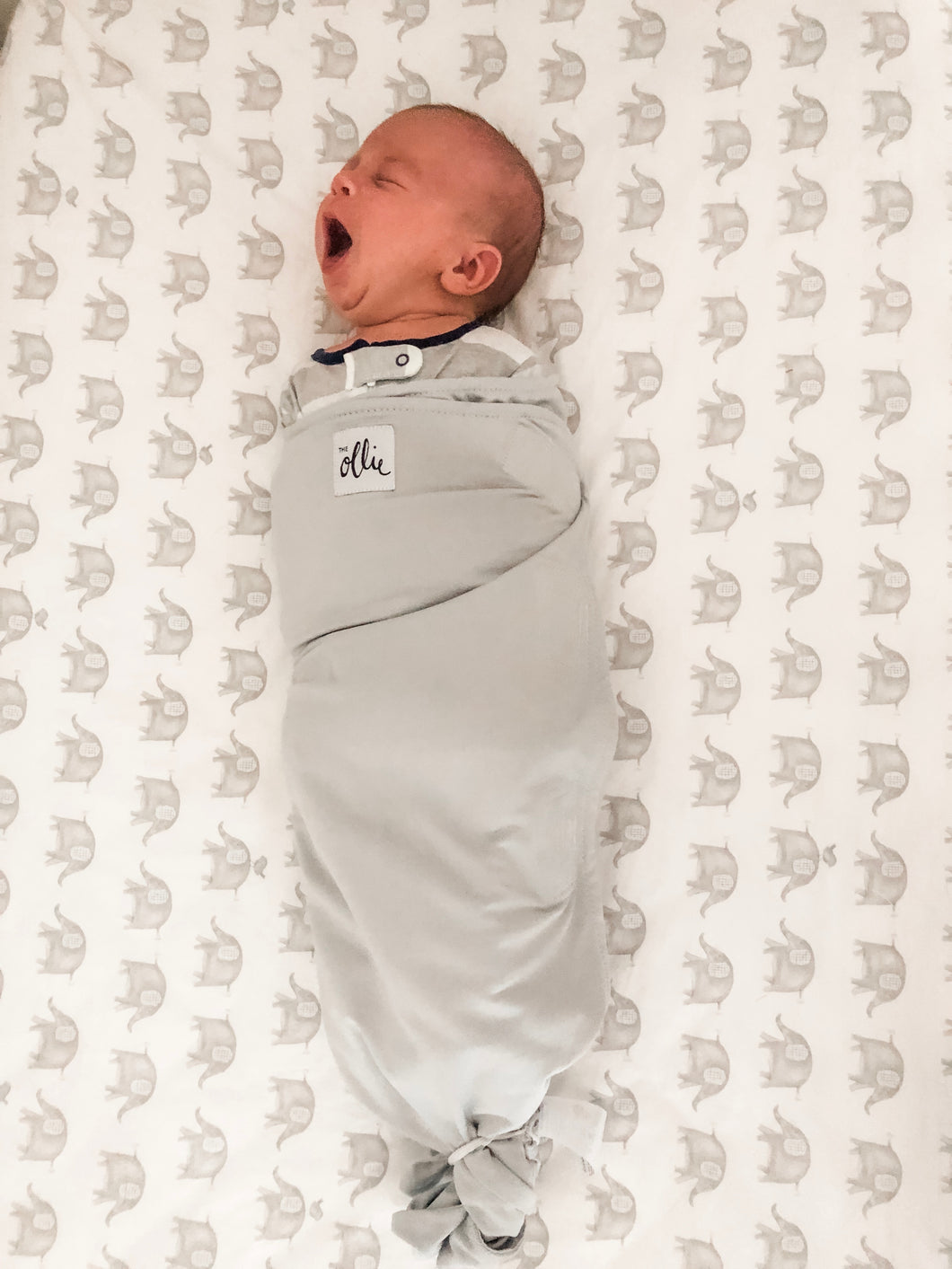 ollie swaddle