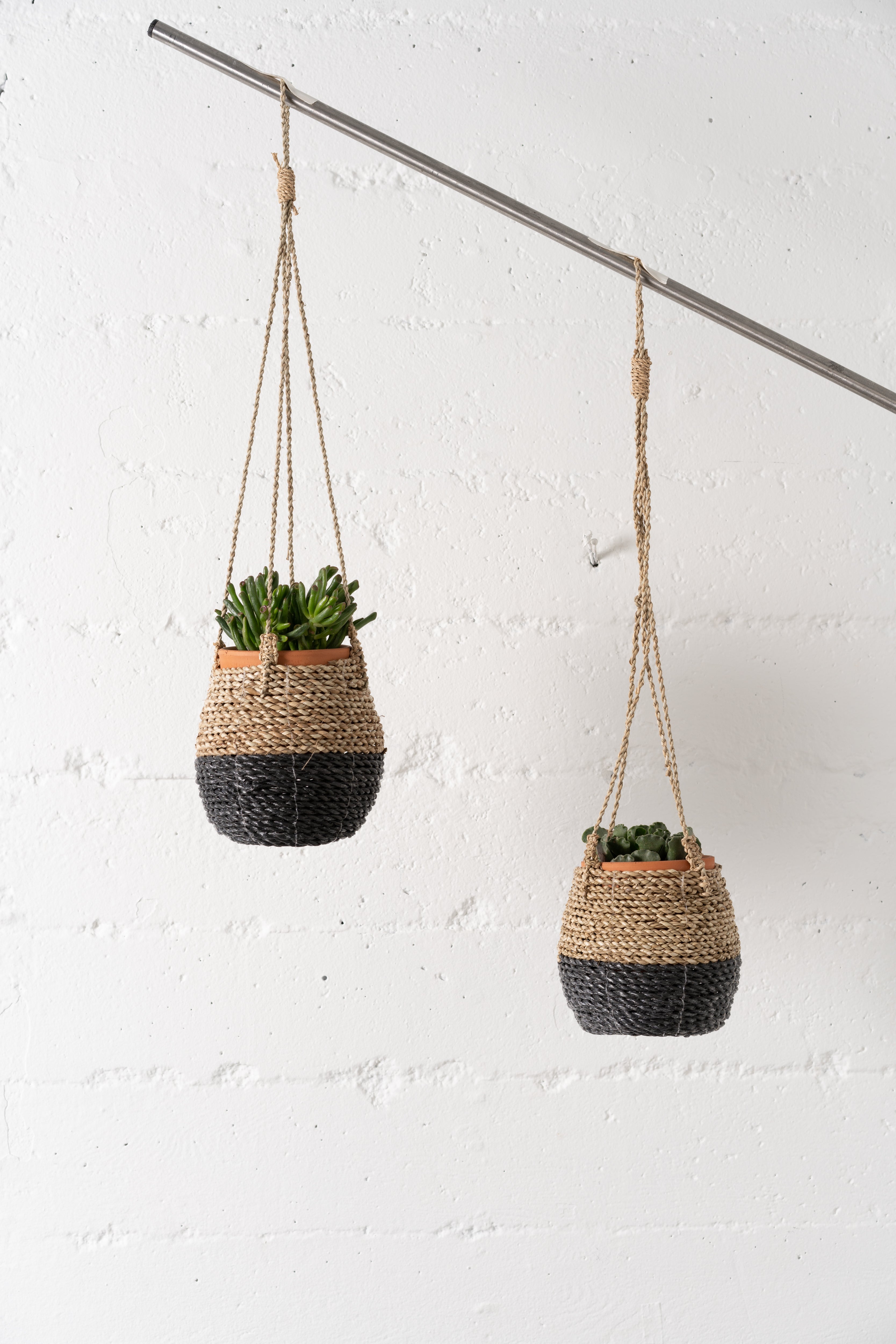 Basket Hanging Planter