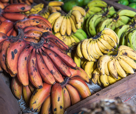 Bananes