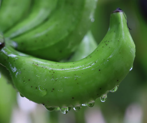 Green banana