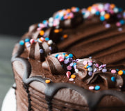 Chocolate Cake With Coloured Sprinkles