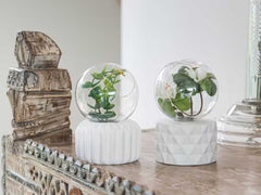 led light plant terrarium with white base