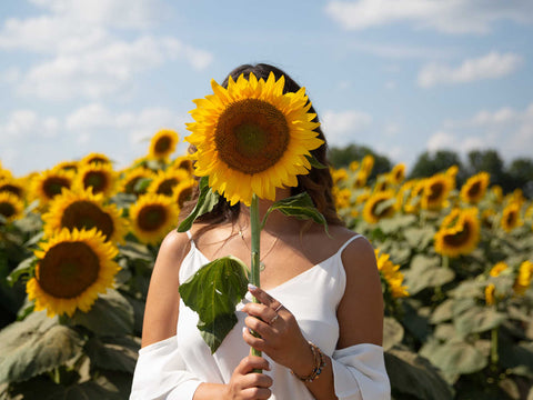 woman in white dress holding yellow sunflower over face with sunflowers and blue sky in background