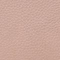 Blush Pink